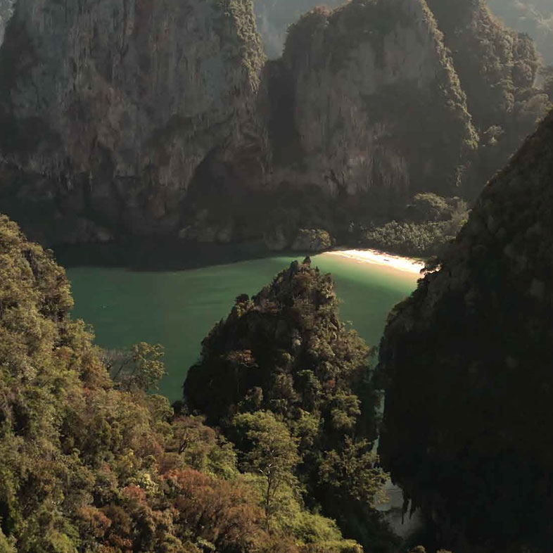 hidden fixation system